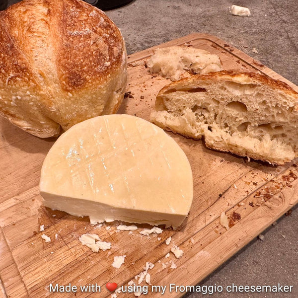 Gouda