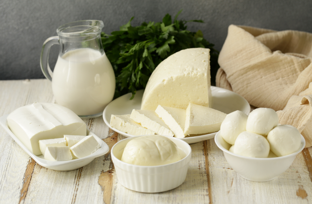 دليل المبتدئين لصناعة الجبن محلية الصنع مع فروماجيو