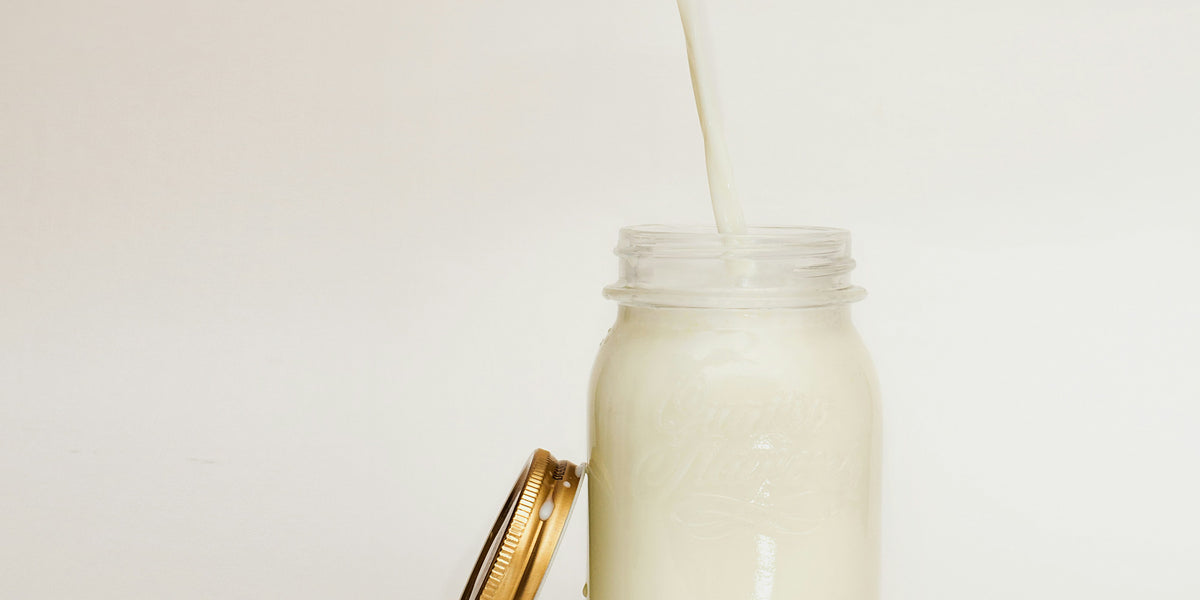 The Milk of Choice A Guide to Selecting the Best Milk for Cheesemakin