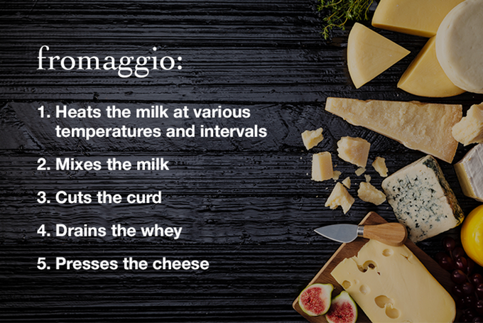 fromaggio  The World's First SMART Home Cheese Making Machine by Fromaggio