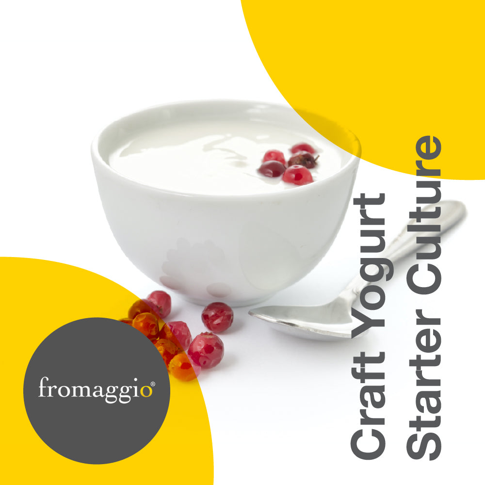 Cultivo di yogurt artigianale