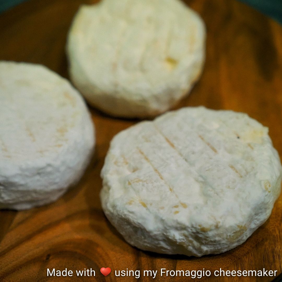 Recettes de fabrication de fromage