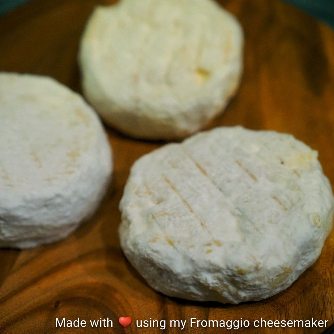 Cheese Making Recipes