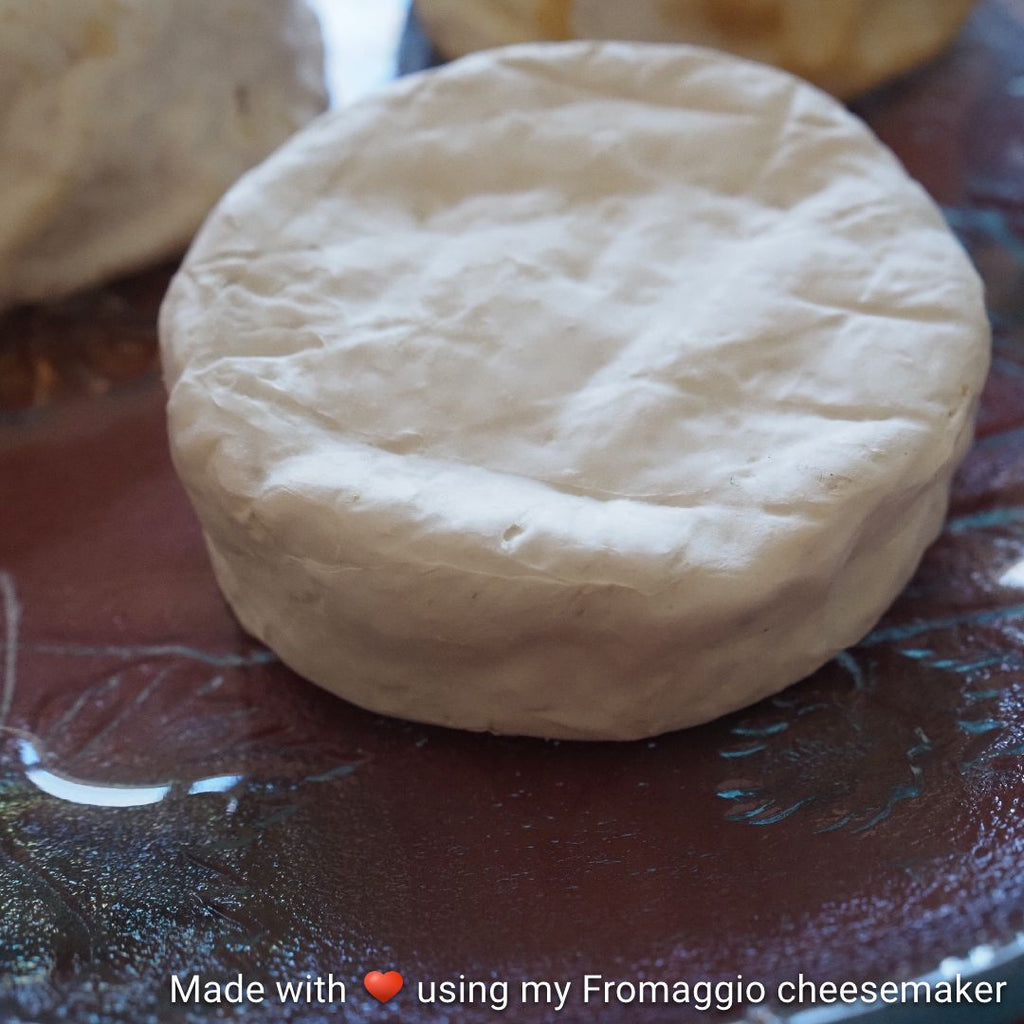 Kimchi Camembert