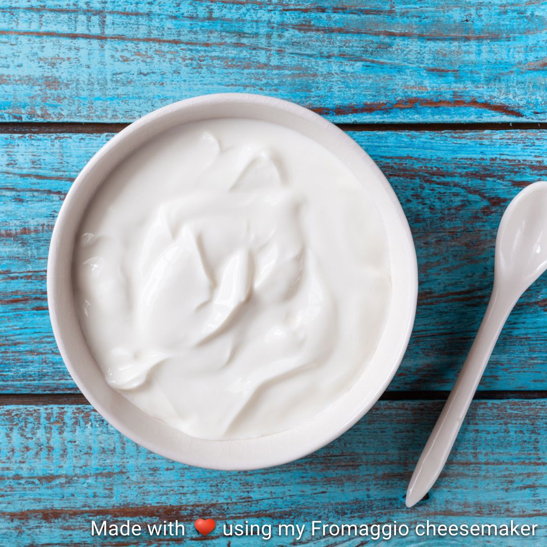 Yogurt